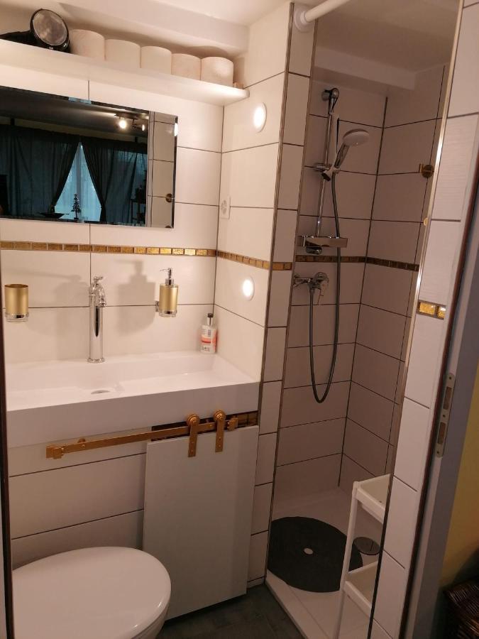 Ravissant Studio neuf, entièrement equipé, fonctionnel de 40 m2 avec entrée indépendante dans la campagne campagnes Massonnens Extérieur photo